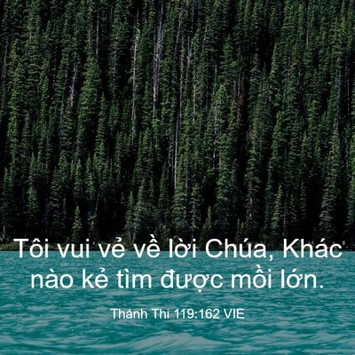 Picture 03 - Thánh Thi 119:162 VIE - Tôi vui vẻ về lời Chúa, Khác nào kẻ - Bible Verse Picture