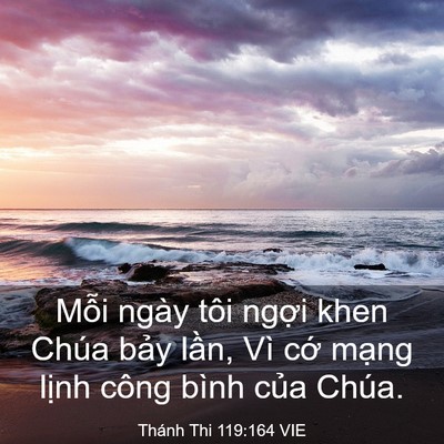 Picture 03 - Thánh Thi 119:164 VIE - Mỗi ngày tôi ngợi khen Chúa bảy lần, - Bible Verse Picture