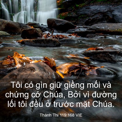Picture 03 - Thánh Thi 119:168 VIE - Tôi có gìn giữ giềng mối và chứng - Bible Verse Picture