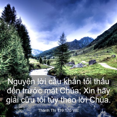 Picture 03 - Thánh Thi 119:170 VIE - Nguyện lời cầu khẩn tôi thấu đến - Bible Verse Picture