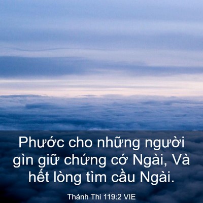 Picture 03 - Thánh Thi 119:2 VIE - Phước cho những người gìn giữ chứng - Bible Verse Picture