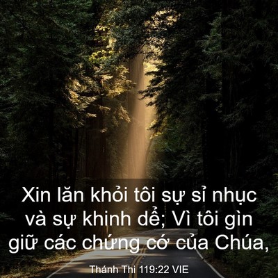 Picture 03 - Thánh Thi 119:22 VIE - Xin lăn khỏi tôi sự sỉ nhục và sự - Bible Verse Picture
