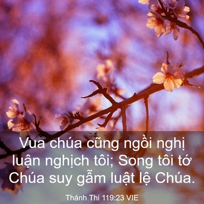 Picture 03 - Thánh Thi 119:23 VIE - Vua chúa cũng ngồi nghị luận nghịch - Bible Verse Picture