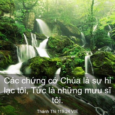 Picture 03 - Thánh Thi 119:24 VIE - Các chứng cớ Chúa là sự hỉ lạc tôi, - Bible Verse Picture