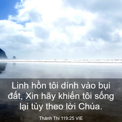 Picture 03 - Thánh Thi 119:25 VIE - Linh hồn tôi dính vào bụi đất, Xin hãy - Bible Verse Picture