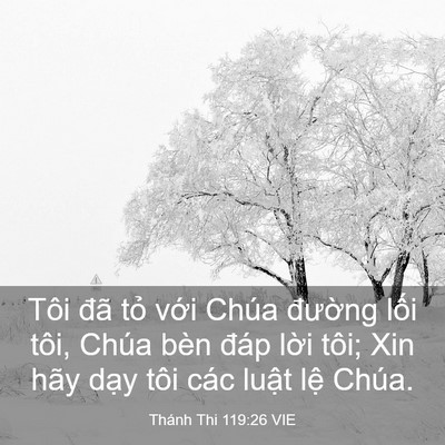 Picture 03 - Thánh Thi 119:26 VIE - Tôi đã tỏ với Chúa đường lối tôi, - Bible Verse Picture