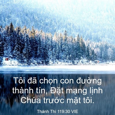Picture 03 - Thánh Thi 119:30 VIE - Tôi đã chọn con đường thành tín, - Bible Verse Picture
