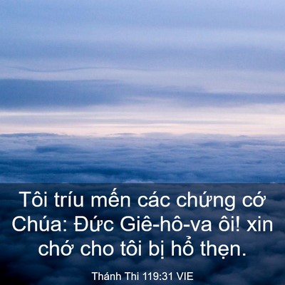 Picture 03 - Thánh Thi 119:31 VIE - Tôi tríu mến các chứng cớ Chúa: Đức - Bible Verse Picture