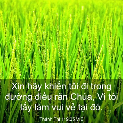 Picture 03 - Thánh Thi 119:35 VIE - Xin hãy khiến tôi đi trong đường điều - Bible Verse Picture