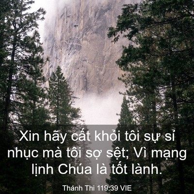 Picture 03 - Thánh Thi 119:39 VIE - Xin hãy cất khỏi tôi sự sỉ nhục mà - Bible Verse Picture