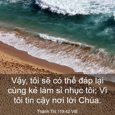 Picture 03 - Thánh Thi 119:42 VIE - Vậy, tôi sẽ có thế đáp lại cùng kẻ - Bible Verse Picture