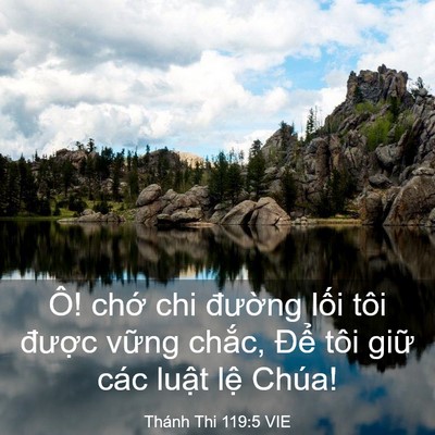 Picture 03 - Thánh Thi 119:5 VIE - Ô! chớ chi đường lối tôi được - Bible Verse Picture