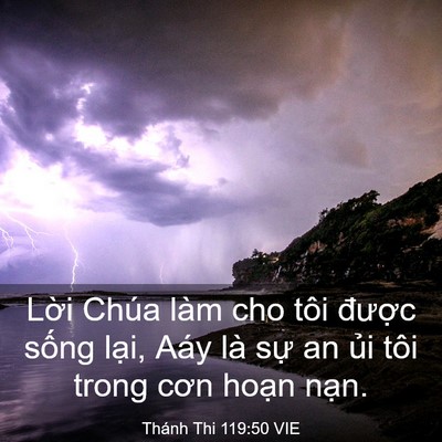 Picture 03 - Thánh Thi 119:50 VIE - Lời Chúa làm cho tôi được sống lại, - Bible Verse Picture