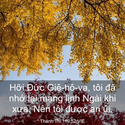 Picture 03 - Thánh Thi 119:52 VIE - Hỡi Đức Giê-hô-va, tôi đã nhớ lại - Bible Verse Picture