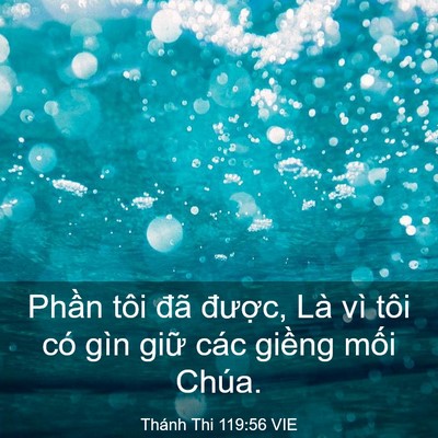 Picture 03 - Thánh Thi 119:56 VIE - Phần tôi đã được, Là vì tôi có gìn - Bible Verse Picture