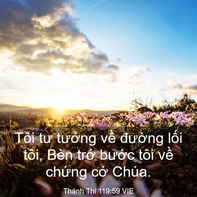 Picture 03 - Thánh Thi 119:59 VIE - Tôi tư tưởng về đường lối tôi, Bèn - Bible Verse Picture
