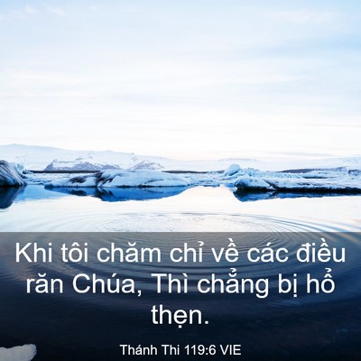 Picture 03 - Thánh Thi 119:6 VIE - Khi tôi chăm chỉ về các điều răn - Bible Verse Picture