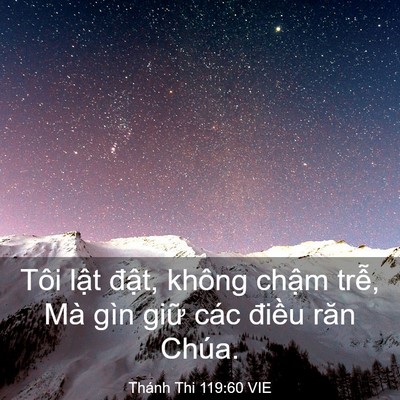 Picture 03 - Thánh Thi 119:60 VIE - Tôi lật đật, không chậm trễ, Mà gìn - Bible Verse Picture