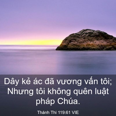 Picture 03 - Thánh Thi 119:61 VIE - Dây kẻ ác đã vương vấn tôi; Nhưng - Bible Verse Picture