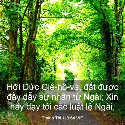 Picture 03 - Thánh Thi 119:64 VIE - Hỡi Đức Giê-hô-va, đất được đầy - Bible Verse Picture