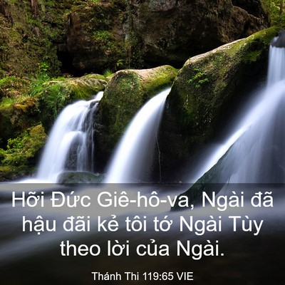 Picture 03 - Thánh Thi 119:65 VIE - Hỡi Đức Giê-hô-va, Ngài đã hậu đãi - Bible Verse Picture