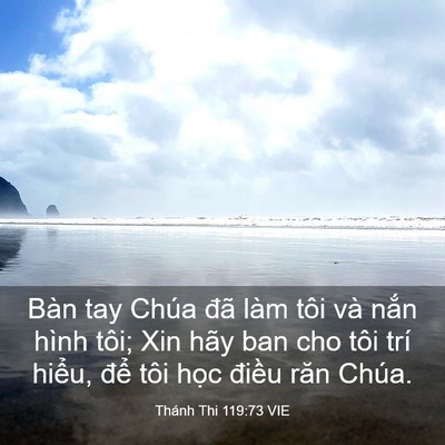 Picture 03 - Thánh Thi 119:73 VIE - Bàn tay Chúa đã làm tôi và nắn hình - Bible Verse Picture