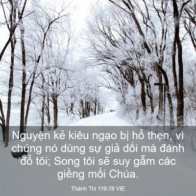 Picture 03 - Thánh Thi 119:78 VIE - Nguyện kẻ kiêu ngạo bị hổ thẹn, vì - Bible Verse Picture