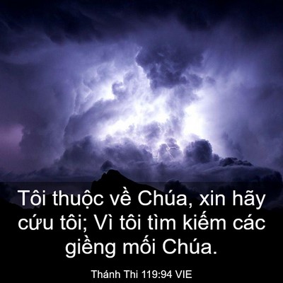 Picture 03 - Thánh Thi 119:94 VIE - Tôi thuộc về Chúa, xin hãy cứu tôi; Vì - Bible Verse Picture