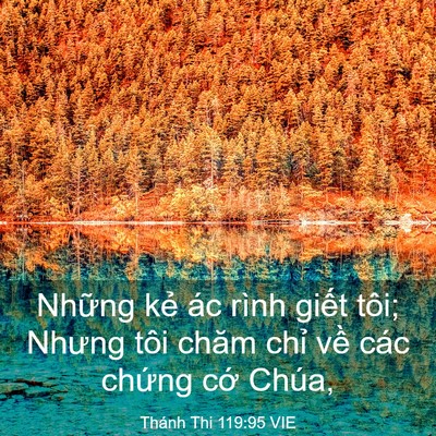 Picture 03 - Thánh Thi 119:95 VIE - Những kẻ ác rình giết tôi; Nhưng tôi - Bible Verse Picture
