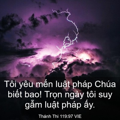 Picture 03 - Thánh Thi 119:97 VIE - Tôi yêu mến luật pháp Chúa biết bao! - Bible Verse Picture