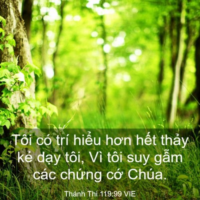 Picture 03 - Thánh Thi 119:99 VIE - Tôi có trí hiểu hơn hết thảy kẻ dạy - Bible Verse Picture