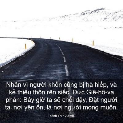Picture 03 - Thánh Thi 12:5 VIE - Nhân vì người khốn cùng bị hà hiếp, - Bible Verse Picture