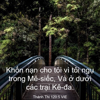 Picture 03 - Thánh Thi 120:5 VIE - Khốn nạn cho tôi vì tôi ngụ trong - Bible Verse Picture