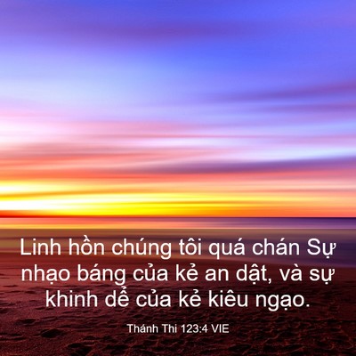 Picture 03 - Thánh Thi 123:4 VIE - Linh hồn chúng tôi quá chán Sự nhạo - Bible Verse Picture