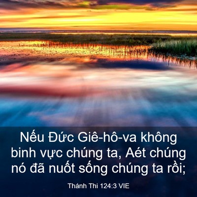 Picture 03 - Thánh Thi 124:3 VIE - Nếu Đức Giê-hô-va không binh vực chúng - Bible Verse Picture