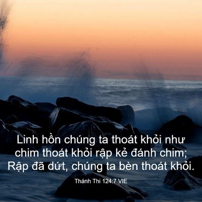 Picture 03 - Thánh Thi 124:7 VIE - Linh hồn chúng ta thoát khỏi như chim - Bible Verse Picture