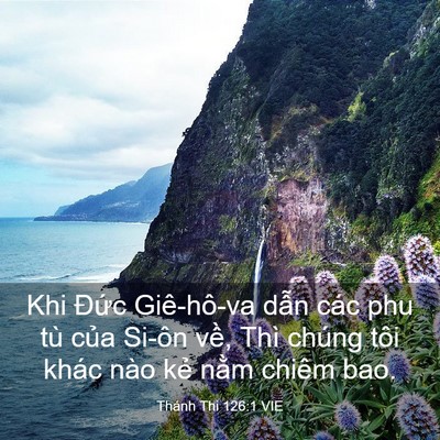 Picture 03 - Thánh Thi 126:1 VIE - Khi Đức Giê-hô-va dẫn các phu tù của - Bible Verse Picture