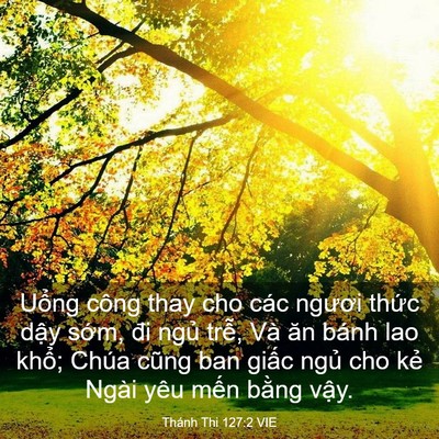 Picture 03 - Thánh Thi 127:2 VIE - Uổng công thay cho các ngươi thức dậy - Bible Verse Picture