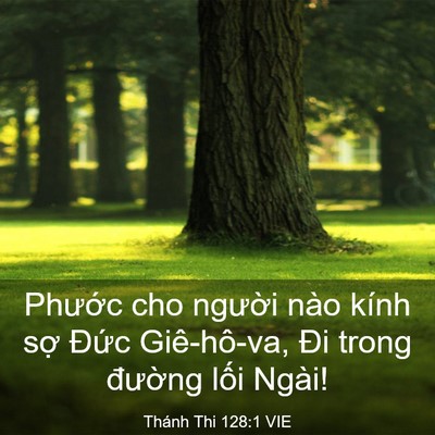Picture 03 - Thánh Thi 128:1 VIE - Phước cho người nào kính sợ Đức - Bible Verse Picture