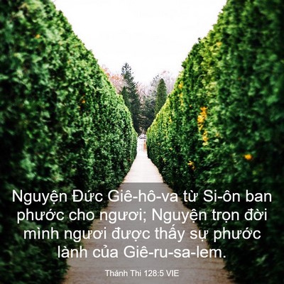 Picture 03 - Thánh Thi 128:5 VIE - Nguyện Đức Giê-hô-va từ Si-ôn ban - Bible Verse Picture