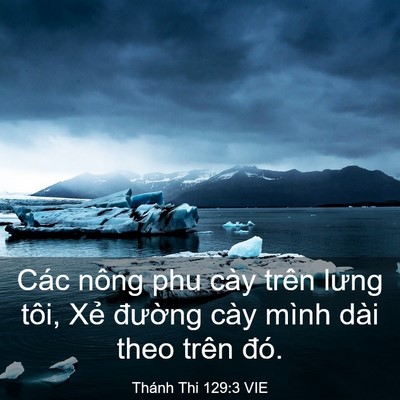 Picture 03 - Thánh Thi 129:3 VIE - Các nông phu cày trên lưng tôi, Xẻ - Bible Verse Picture