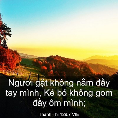 Picture 03 - Thánh Thi 129:7 VIE - Ngươi gặt không nắm đầy tay mình, Kẻ - Bible Verse Picture