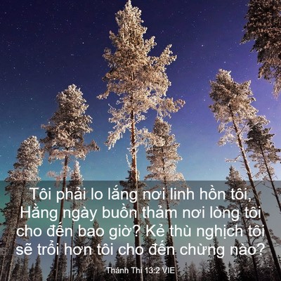 Picture 03 - Thánh Thi 13:2 VIE - Tôi phải lo lắng nơi linh hồn tôi, - Bible Verse Picture