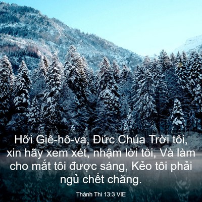 Picture 03 - Thánh Thi 13:3 VIE - Hỡi Giê-hô-va, Đức Chúa Trời tôi, xin - Bible Verse Picture
