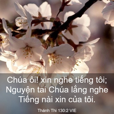 Picture 03 - Thánh Thi 130:2 VIE - Chúa ôi! xin nghe tiếng tôi; Nguyện tai - Bible Verse Picture