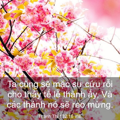 Picture 03 - Thánh Thi 132:16 VIE - Ta cũng sẽ mặc sự cứu rỗi cho thầy - Bible Verse Picture