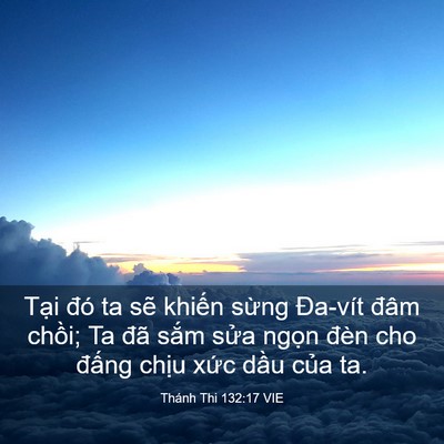 Picture 03 - Thánh Thi 132:17 VIE - Tại đó ta sẽ khiến sừng Đa-vít đâm - Bible Verse Picture
