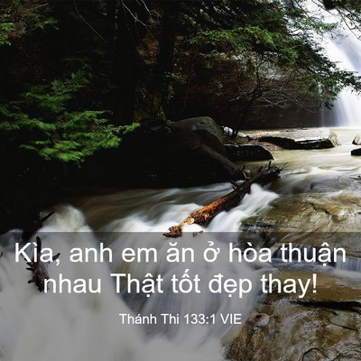Picture 03 - Thánh Thi 133:1 VIE - Kìa, anh em ăn ở hòa thuận nhau Thật - Bible Verse Picture
