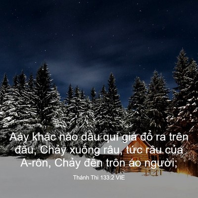Picture 03 - Thánh Thi 133:2 VIE - Aáy khác nào dầu quí giá đổ ra trên - Bible Verse Picture