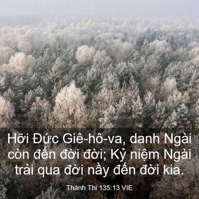 Picture 03 - Thánh Thi 135:13 VIE - Hỡi Đức Giê-hô-va, danh Ngài còn đến - Bible Verse Picture